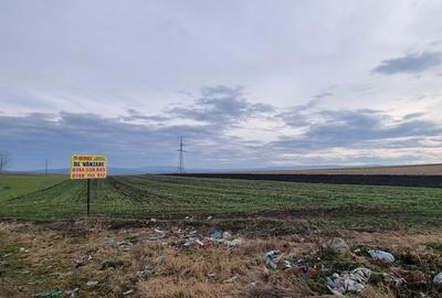 Teren Zaicesti la strada Botosani-Iasi - 4