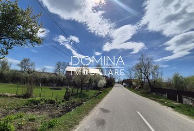 Oportunitate teren 6.504 mp – Curtișoara, la 11 km distanță de Târgu Jiu - 2