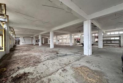 Hala, spatiu comercial, vad, de la 423mp la 1744mp, Vama Albita - 27