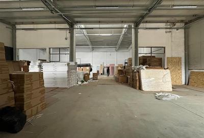 Hala depozitare - productie, 388mp, CUG Fortus - 5