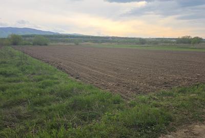 Teren agricol extravilan de 900 mp, în Mohu