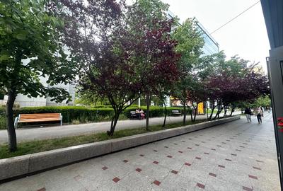 Vanzare afacere la chei langa tribunalul bucuresti - 9