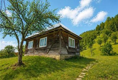 Teren la poalele padurii,Buzaiel,Vama Buzaului,DJ,constructie +utilitati,Brasov - 2