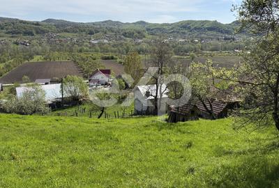 Teren Construcții intravilan de 14613 mp, în Bârseștii de Sus