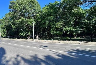 Vila interbelică în zona Aviatorilor - 4