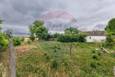 Teren intravilan de vânzare 1,200mp Variasu Mare - 1