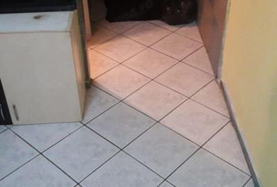 Garsoniera, 12 mp, ideala pentru investitie - Iosefin-Sagului - 2