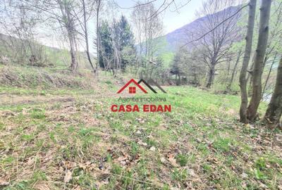 Teren intravilan in Valea Doftanei cu iesire la Parajul Paltinu--1000 mp--120e - 6