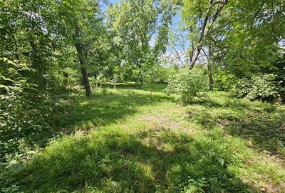Casa spatioasa de vanzare in centrul satului Racaciuni – teren generos, livada, - 14