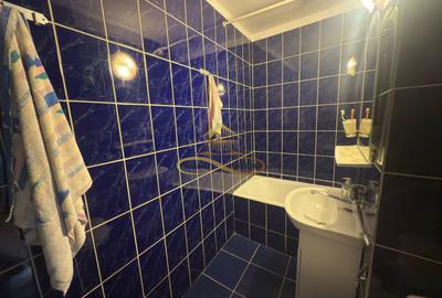 Apartament 3 camere de inchiriat parcul catedralei Bacau - 9