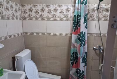 Închiriere apartament în casă pe strada Plevnei - 2