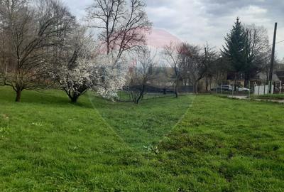 Casă / Vilă cu 7 camere   în zona Bran-Tohanita - 6