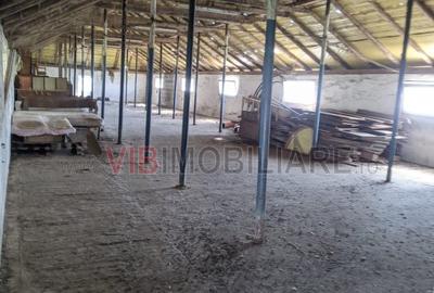 Ferma Zootehnică Mixtă – Cernateaz, Timiș | 9,5 ha | Hale Moderne, Casă 2019, va - 2
