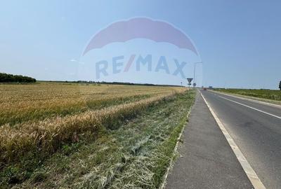 Vanzare Teren pentru dezvoltare mixta acces A0, Vadul Anei/ Branesti - 1