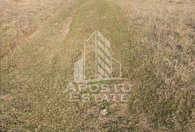 Teren agricol extravilan de 15224 mp, în Bârsa