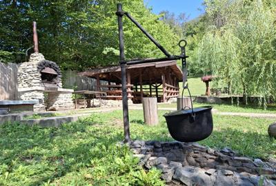 Pensiune agroturistică lângă București | Business funcțional | Iedera de Sus, DB - 8