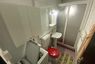 Apartament cu doua camere de vanzare in Dambu - 8