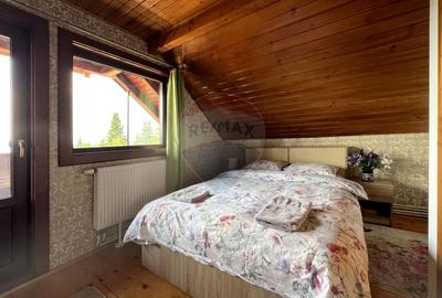 Casă de vacanță, de vânzare, pretabilă locuință sau afacere hotelieră - 14