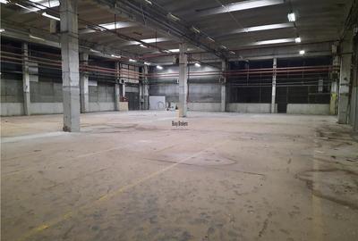 Spațiu industrial, 1700 mp în Est