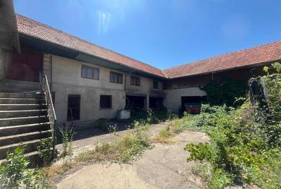 Valisoara, Casa la curte si Teren 3040 Mp, 10 minute de Caransebes - 11
