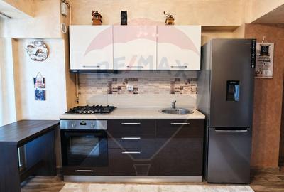 Apartament 2 camere de inchiriat, modern, cu acces si parcare privata - 13