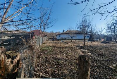 Casa batraneasca in Crihan/Magura | de vanzare - 5