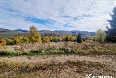 Teren de vanzare – Muntele Baisorii, 1000 mp, vedere spre rezervatia Belioara - 2