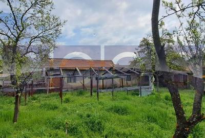 VANZARE CASA | TEREN 1100 MP | GARAJ, FOISOR, LIVADA | ROSIORI DE VEDE - 12