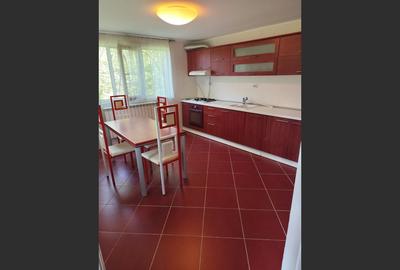 Vila superba 7 camere, Provita de Jos, 22.000 mp teren - 9