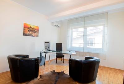 Fully furnished villa in Pipera - 15