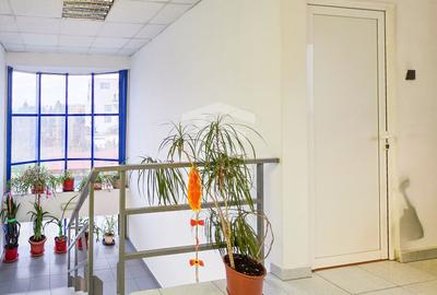 Spațiu industrial–afacere catering la cheie, teren&hală 750 mp S+P+1E - 8