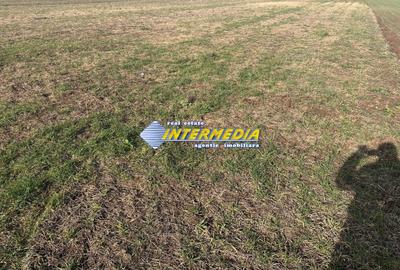Teren intravilan cu apa si canal zona Ampoi 3 Alba Iulia de vanzare - 1