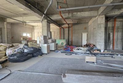 Zona Viilor sp 442 mp open space 10 locuri de parcare - 10