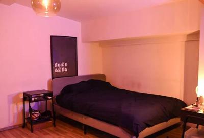 Garsoniera,Ozana,bl.2013,mansarda,DECOMANDATA,Amenajata,centrala,mobilata - 7