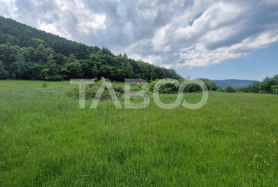 Teren agricol extravilan de 1645 mp, în Orlat