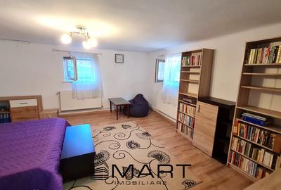 Apartament 2 camere la demisolul unei case,  zona Sub Arini - 7