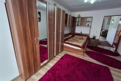 Apartament cu o camera 50mp gradina parcare zona Terezian - 7
