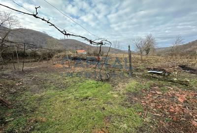 Casa in Secaseni, 30 de km de Resita - 3