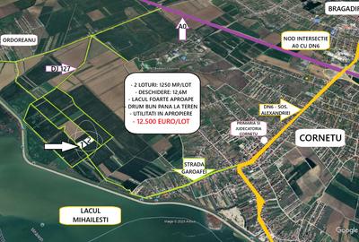 Proprietar - Teren Intravilan - Cornetu - 2 Loturi - 1.250 mp/lot - Super Oferta - 1