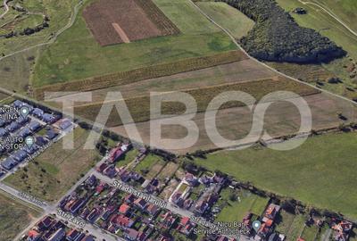 Teren extravilan 4200 mp in Sibiu zona Turnisor - 3
