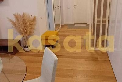 Apartament 2 camere de inchiriat Herastrau - 5