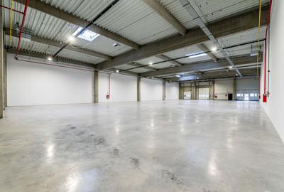 4646 mp - Hala industriala de inchiriat in Parc Industrial Arad - 10
