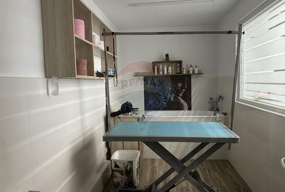 Spațiu Comercial de Vânzare | Bulevardul Traian, Piatra-Neamț - 11