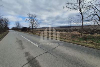 Teren extravilan | De vanzare | 1300 mp | 25 ml deschidere | Ciugud - 8