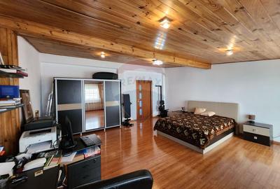 Apartament tip mansarda ultraspatios Polona | St. Cel Mare | Romana - 12