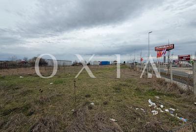 OX698 Oportunitate Investitie , 8036 MP, Buziasului-Hornbach. - 4