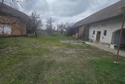 Spatiu Liniste si Libertate la poalele Muntilor - 1