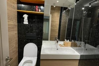 Apartament 2 camere Dristor Park Lake - 5