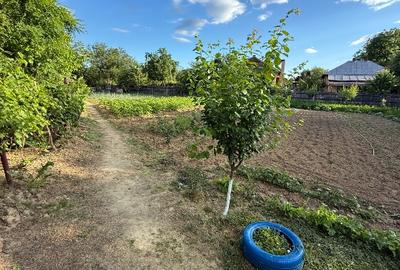 Teren Intravilan în Bâlteni – Oază de liniște și natură, aproape de centru - 2