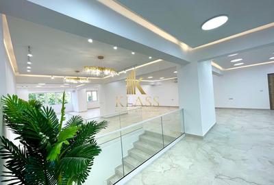 Spatiu comercial 250 mp, parter + et. 1, prima inchiriere, terasa,zona Colentina - 5